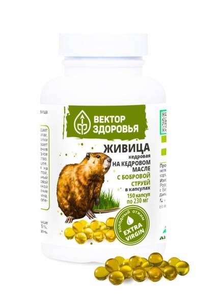 Изображение товара Живица кедровая на кедровом масле с Бобровой струёй Вектор здоровья 150 капсул Живица кедровая на кедровом масле с Бобровой струёй Вектор здоровья 150 капсул фотография